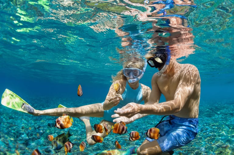 Couple diving underwater with fishes in coral reef