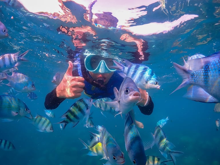 Freediver swimming in deep sea exploring sea life