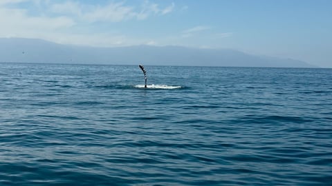 A person paddleboarding on calm blue ocean water with mountains visible in the distance under a partly cloudy sky