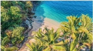 Aerial view of a tropical beach with turquoise water, sandy shore, and palm trees along a rocky coastline