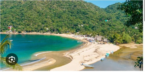 Tropical beach cove with turquoise water, sandy shore, and lush green hillside forest in background