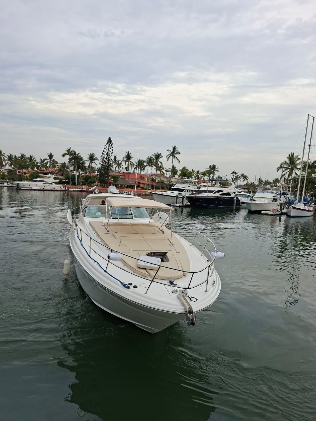 White and tan motorboat moored in calm water with palm trees and additional boats visible in a tropical marina setting